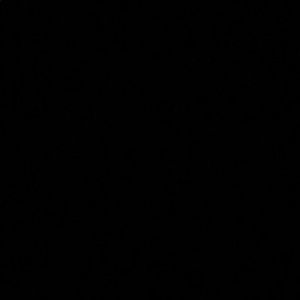 Meet your Posher, Devin